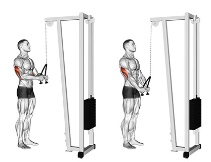push down upper body workout for beginners